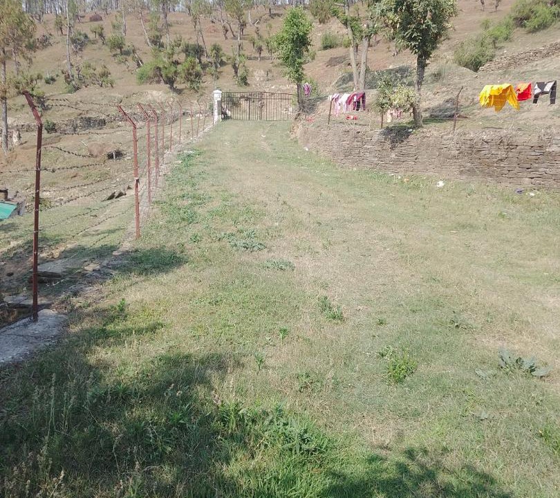 Photo of Others in Almora