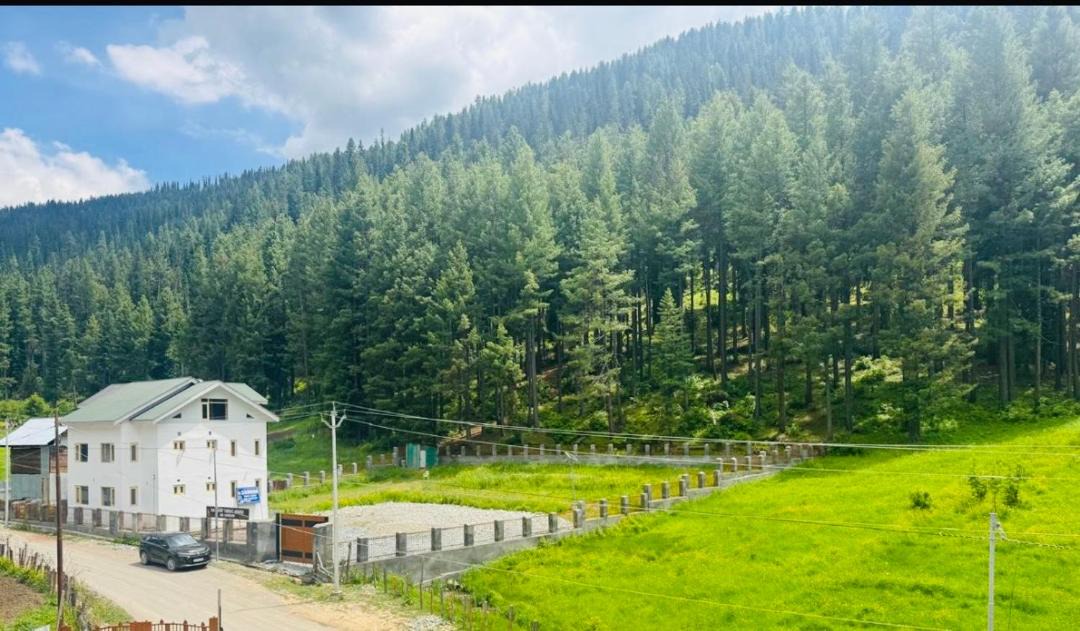 Photo of Others in Gulmarg