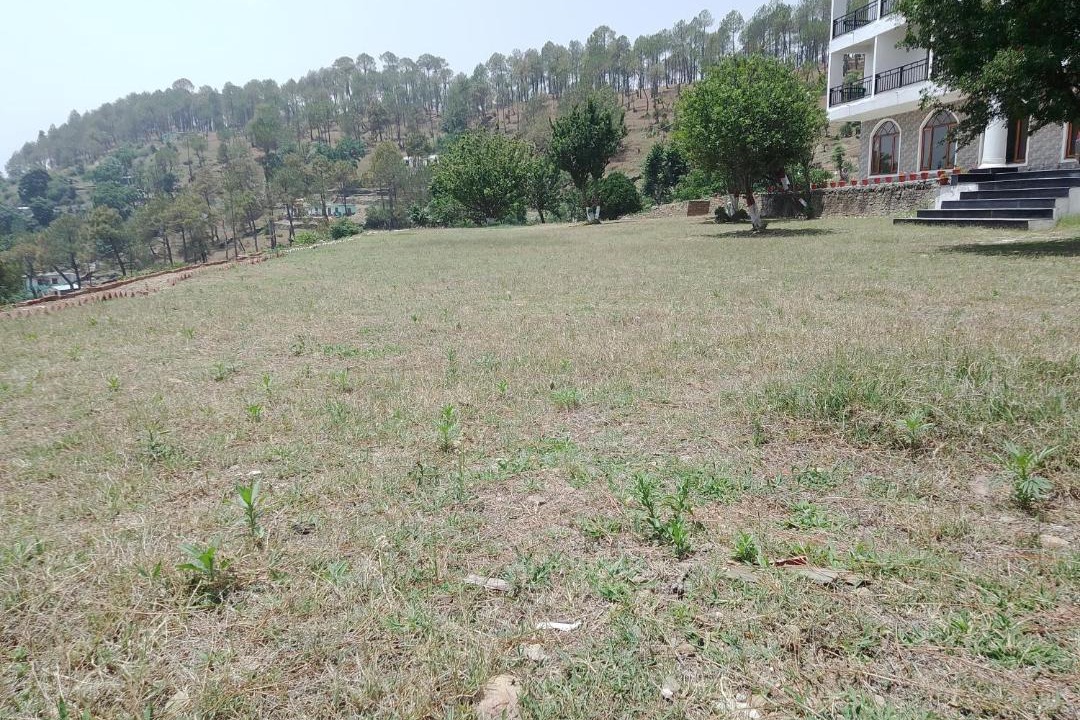 Photo of Others in Almora