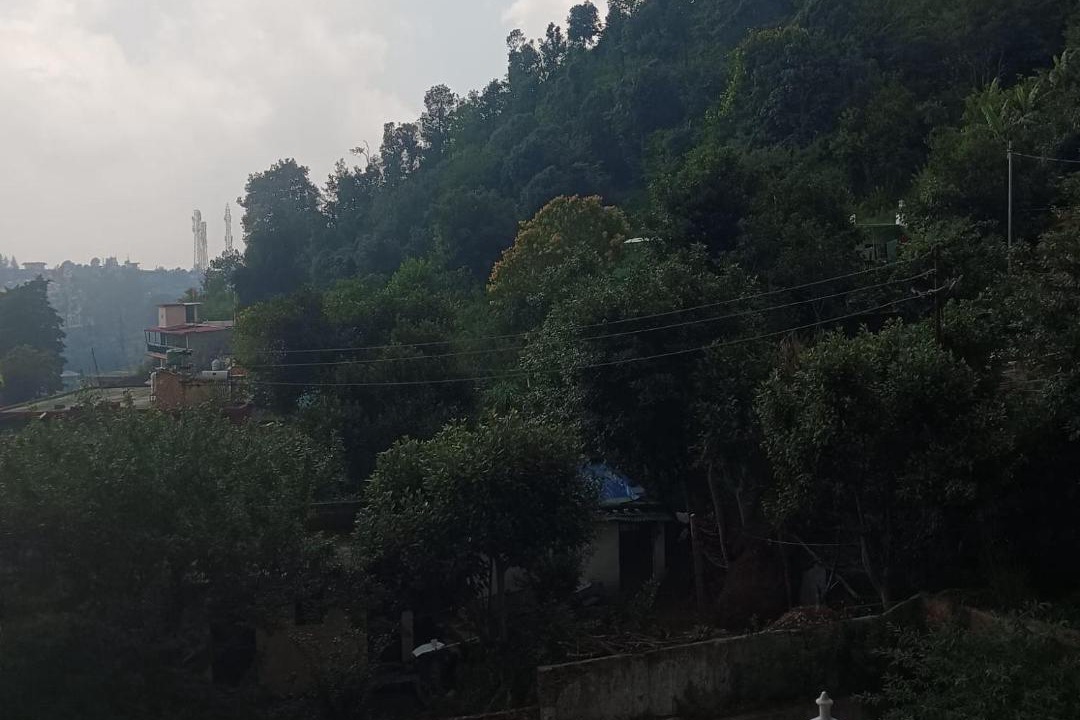 Photo of Others in Shyamkhet