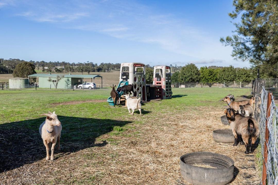 Photo of Others in Woodville