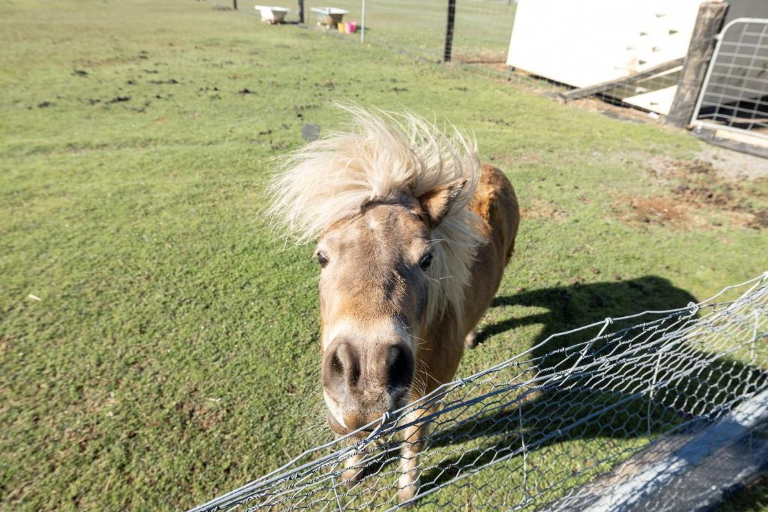 Photo of Others in Woodville