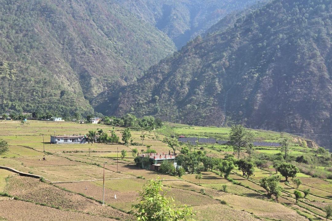 Photo of Others in Shivanandi