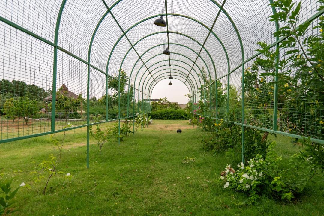 Photo of Outdoor in Jalor