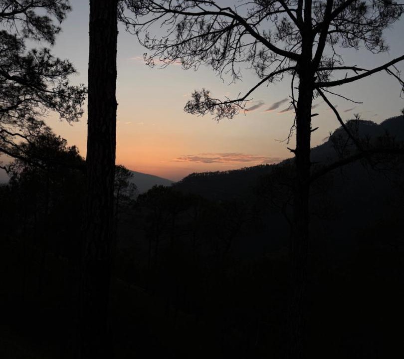 Photo of Others in Almora