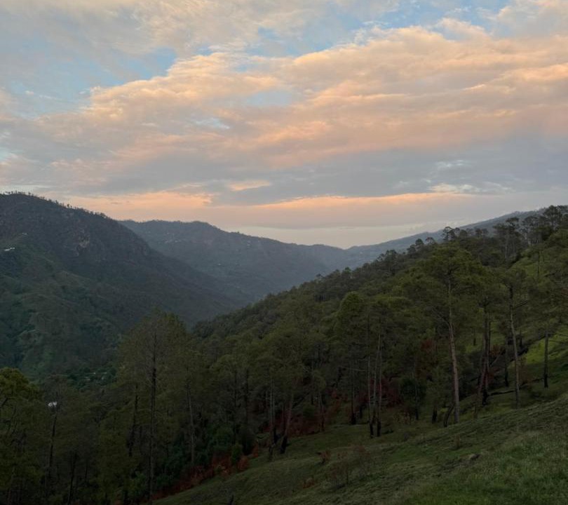Photo of Others in Almora