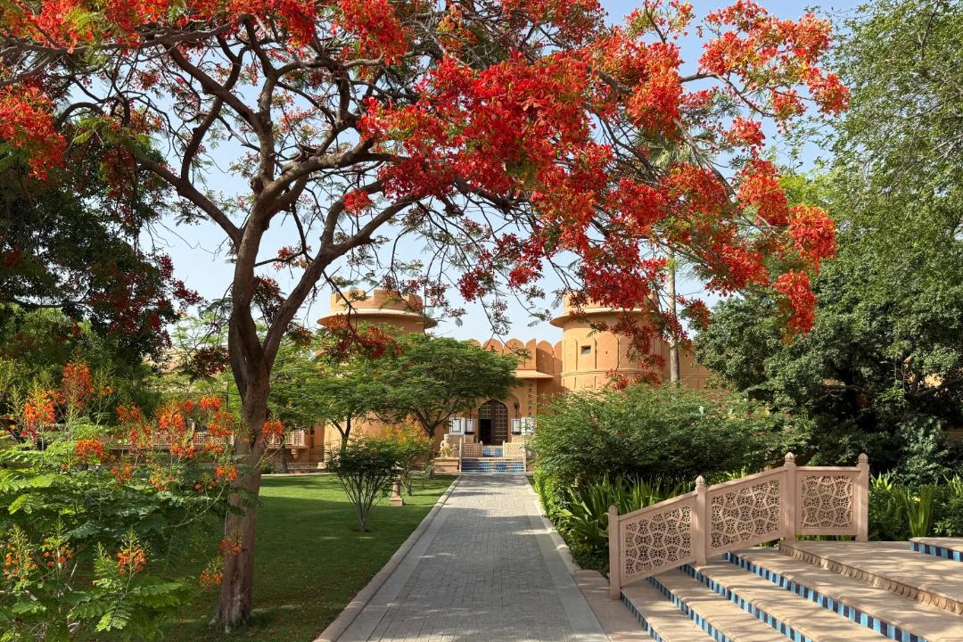 Photo of Others in Jaipur