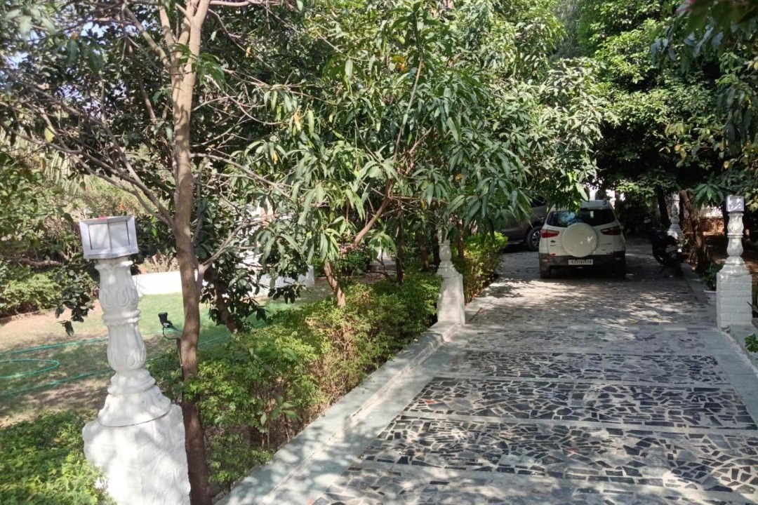 Photo of Others in Bedla