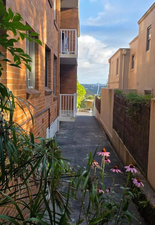 Photo of Others in Mosman