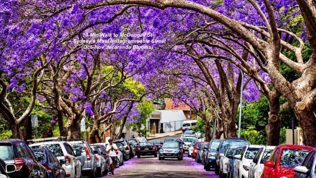 Photo of Others in Kirribilli
