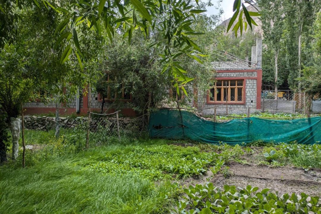 Photo of Others in Turtuk