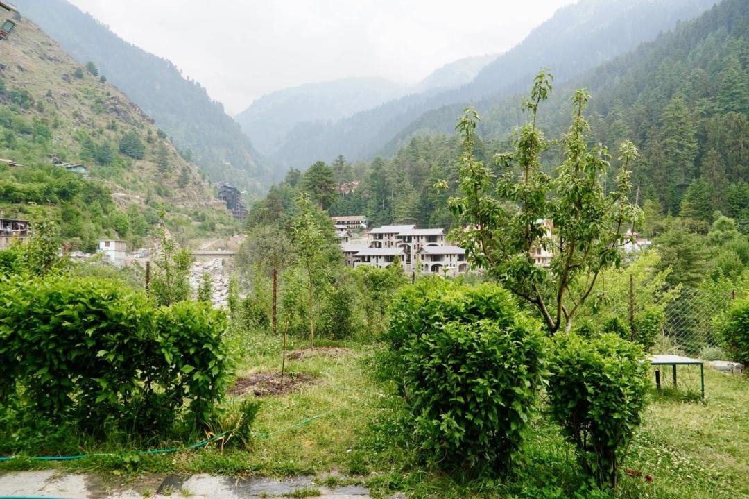 Photo of Others in Manali