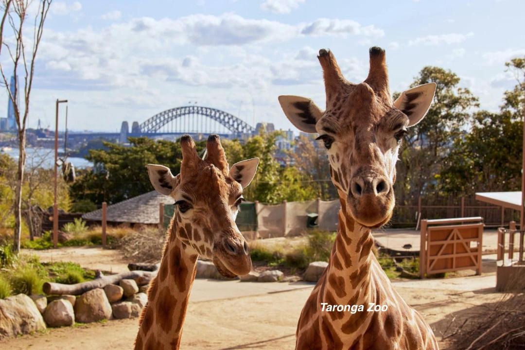 Photo of Others in Woolloomooloo