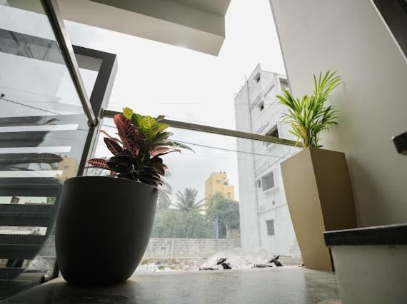 Photo of Patio Balcony in Bengaluru