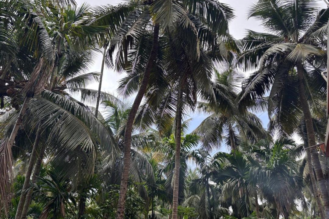 Photo of Others in Honavar