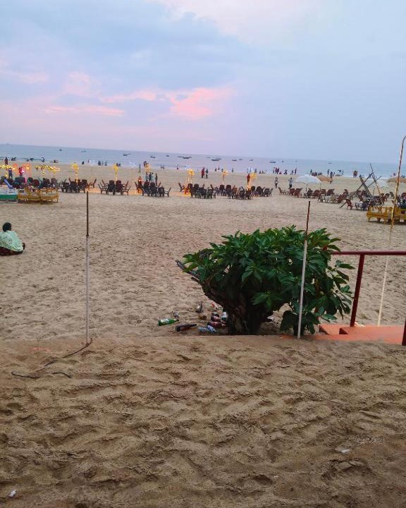Photo of Others in Baga