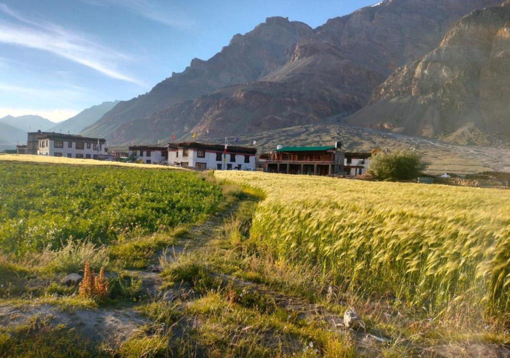 Photo of Others in Spiti
