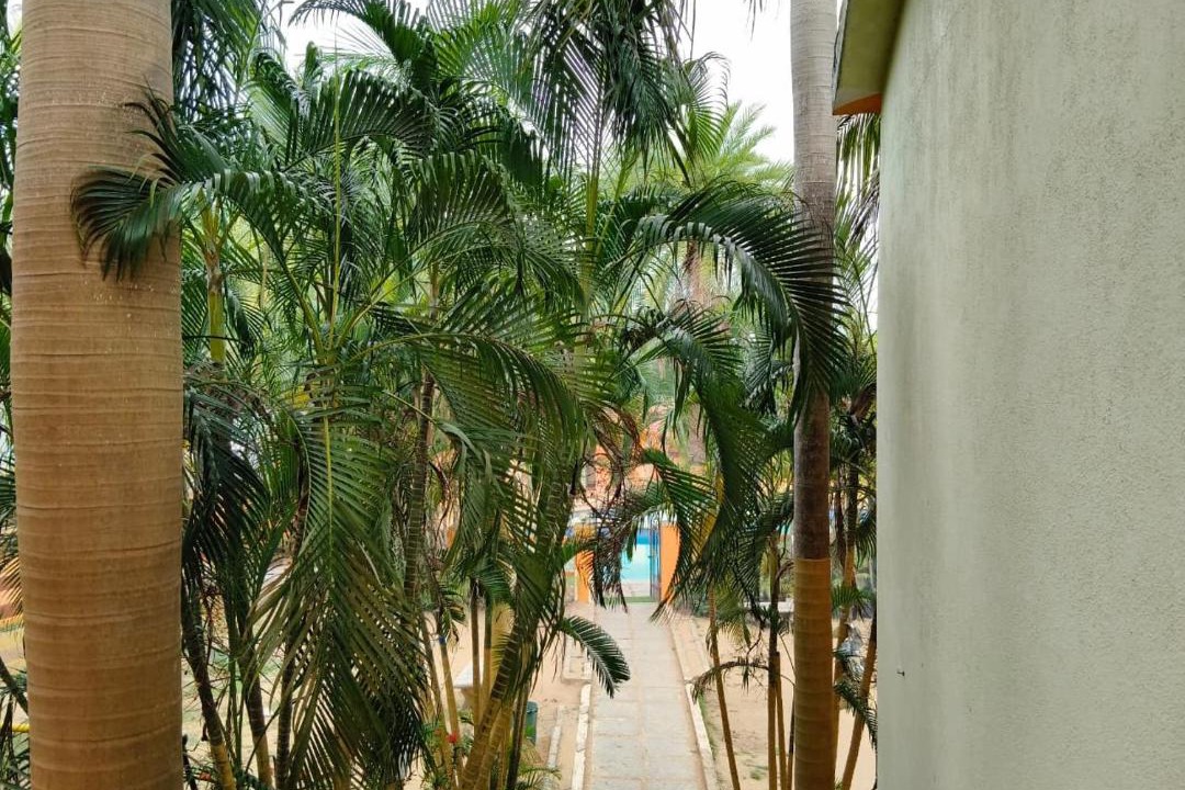 Photo of Others in Mahabalipuram