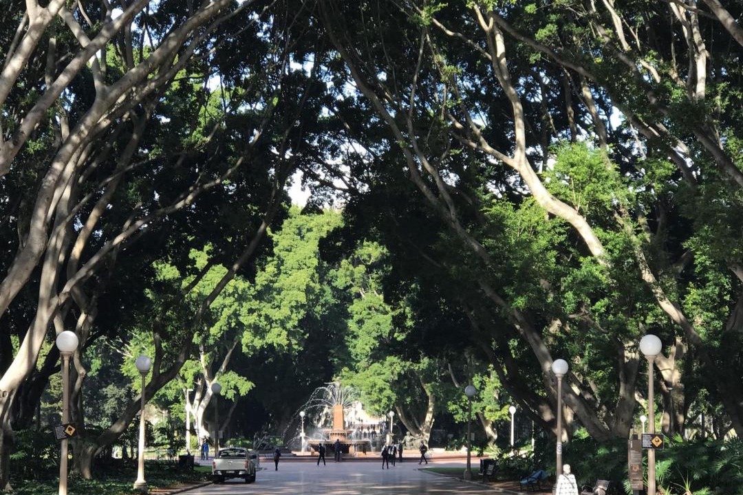 Photo of Others in Pymble