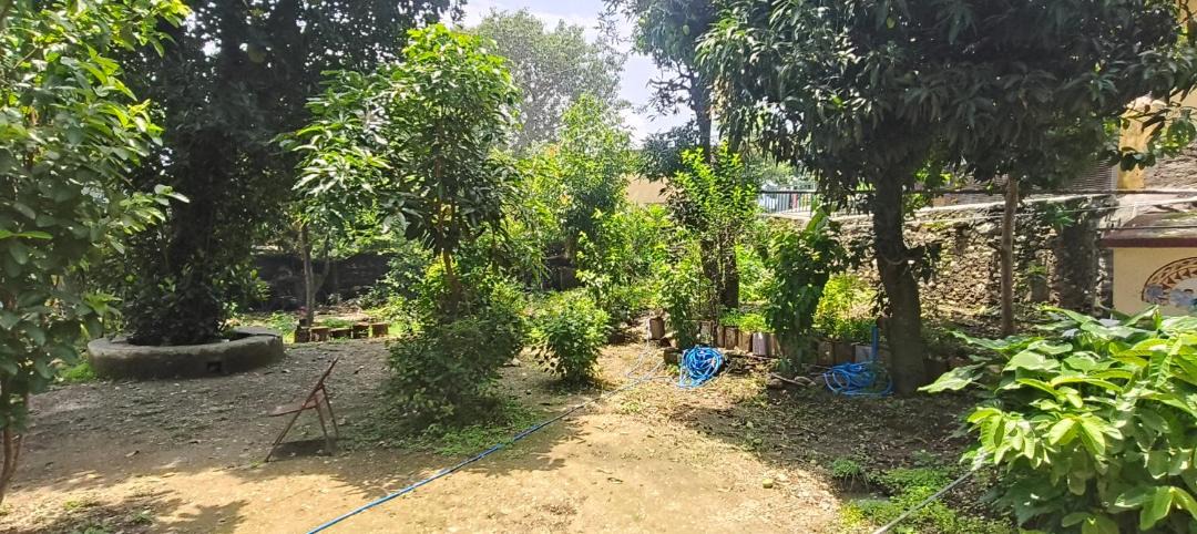 Photo of Outdoor in Chamiyala