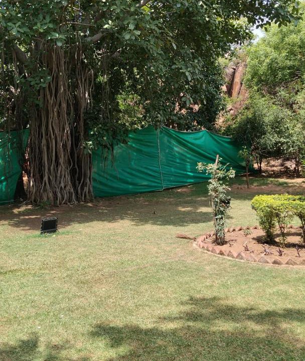 Photo of Others in Faridabad