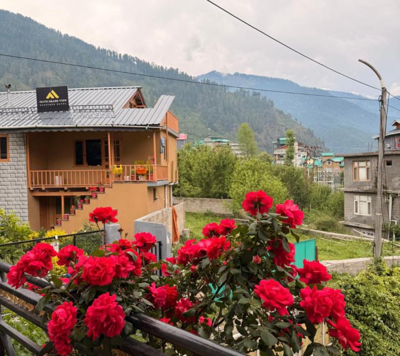 Photo of Others in Manali