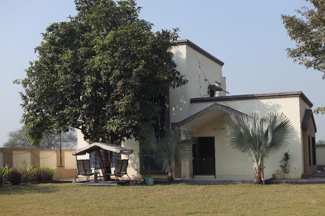Photo of Others in Navsari