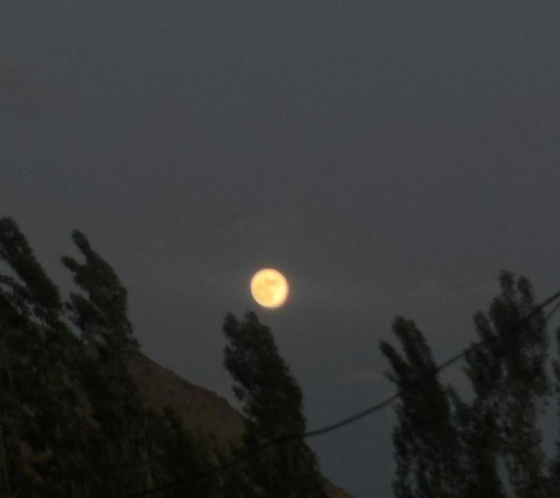 Photo of Others in Leh
