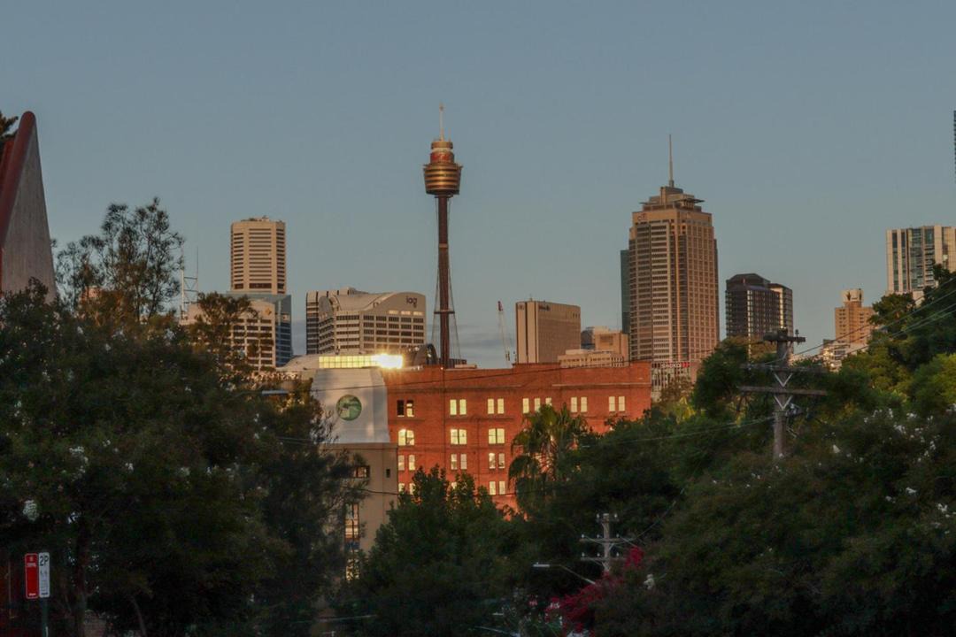 Photo of Others in Glebe