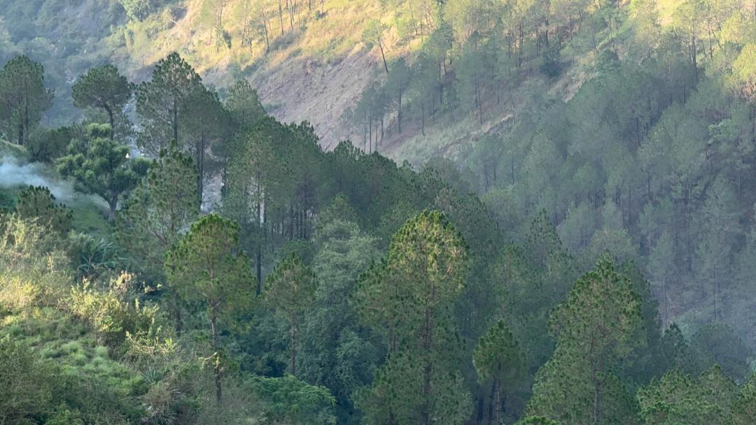 Photo of Others in Mallital