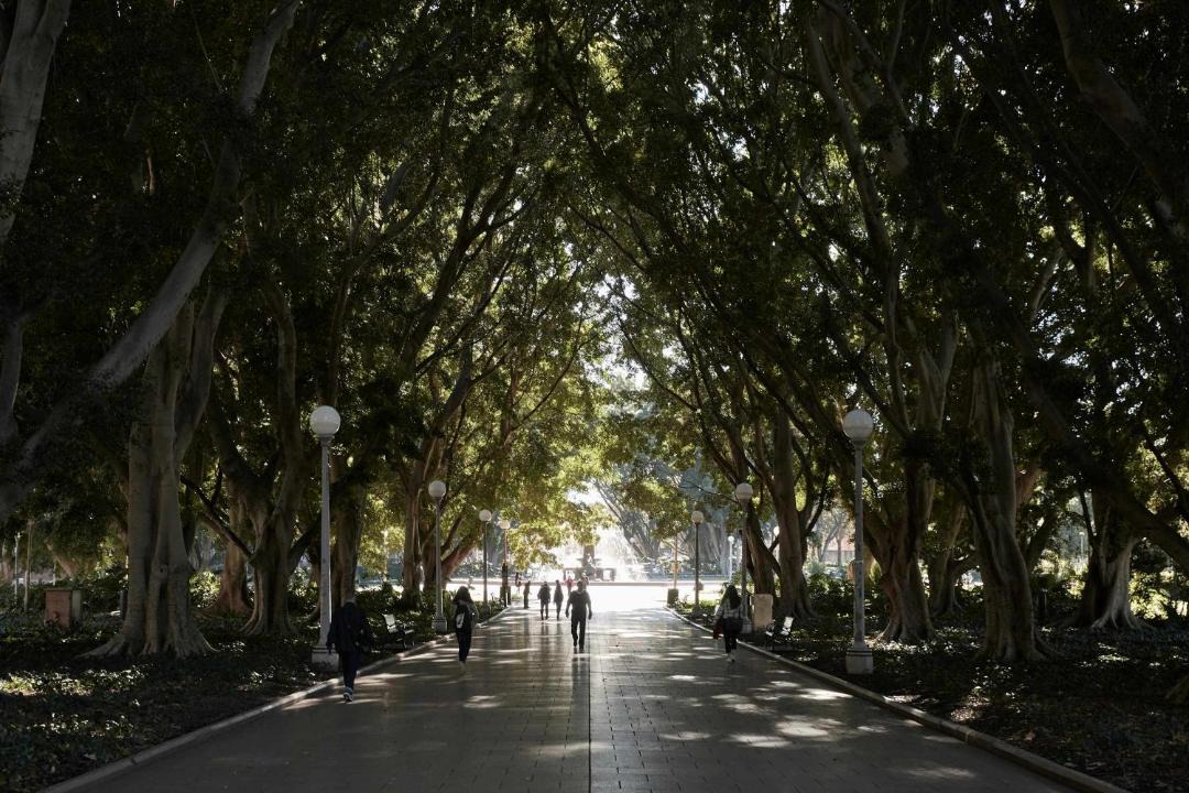 Photo of Others in Darlinghurst