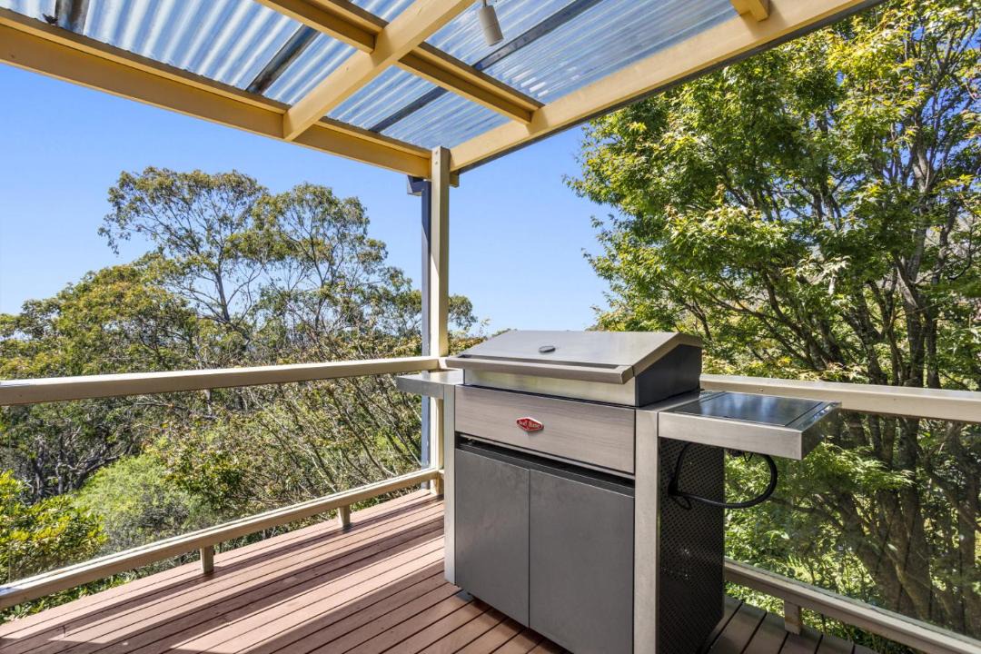 Photo of Others in Wentworth Falls