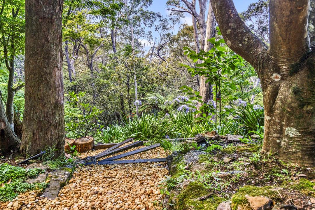 Photo of Others in Wentworth Falls