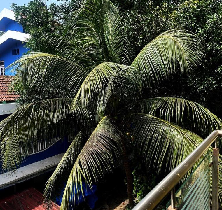 Photo of Others in Benaulim