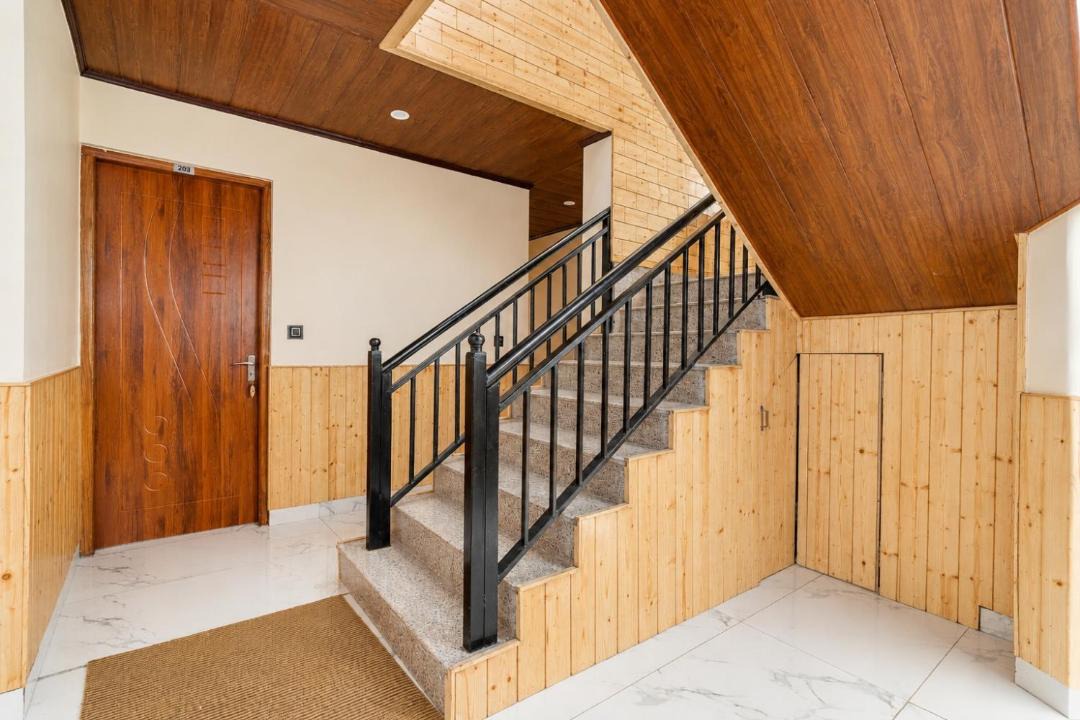 Photo of Others in Shimla