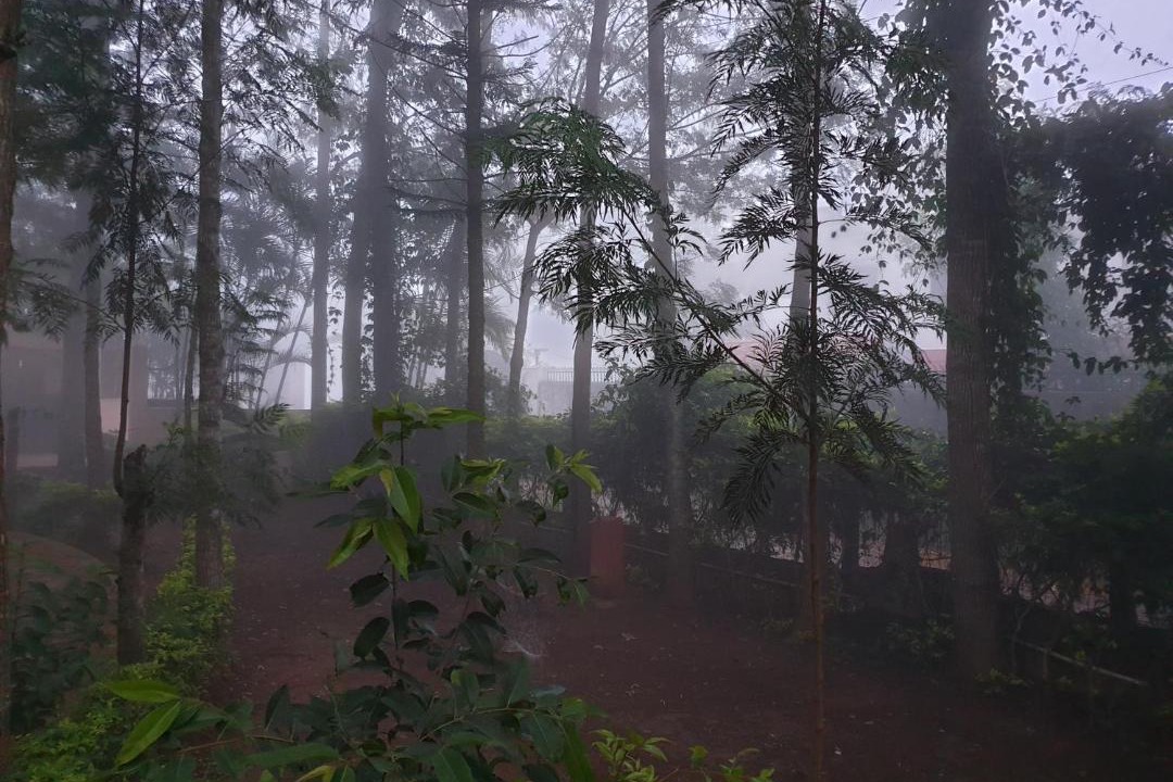 Photo of Others in Yelagiri