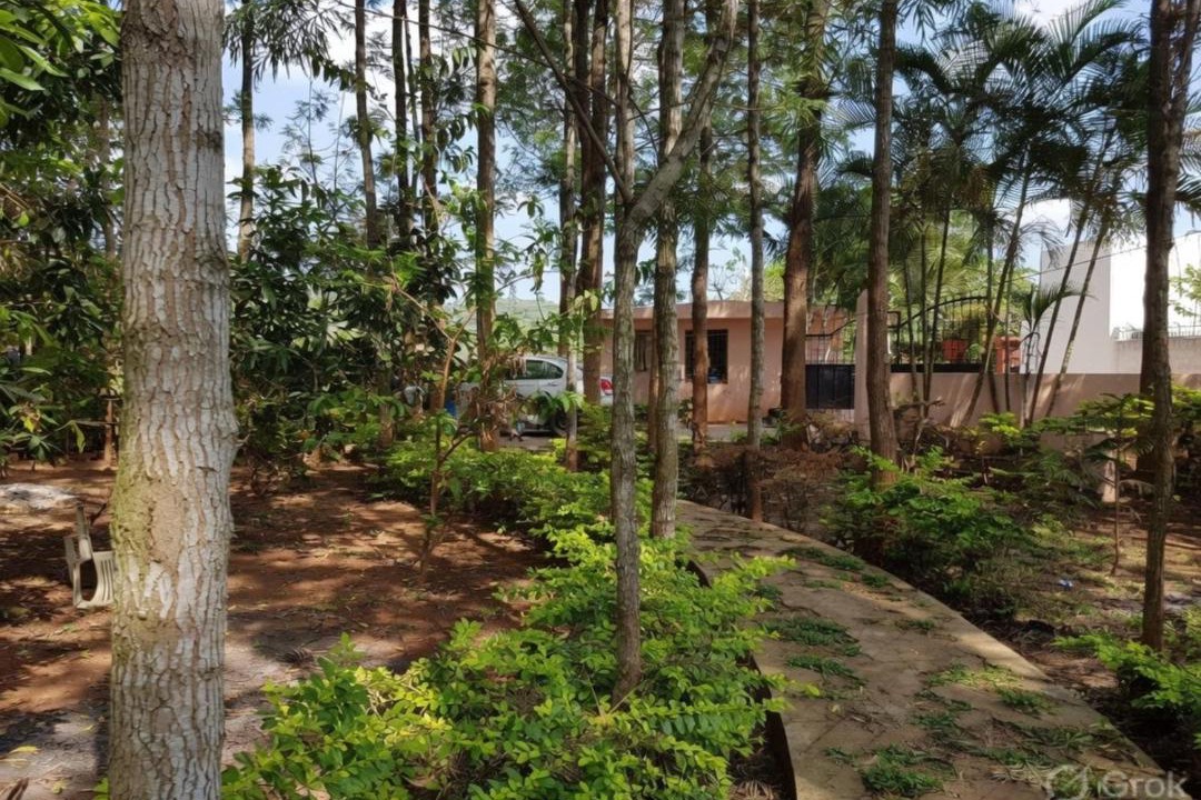 Photo of Others in Yelagiri