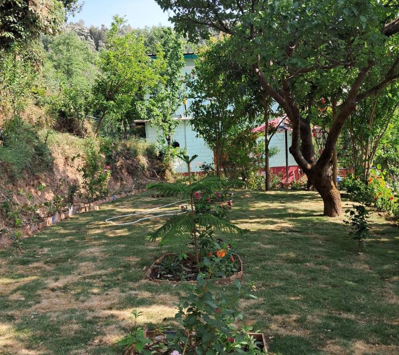 Photo of Outdoor in Kaul