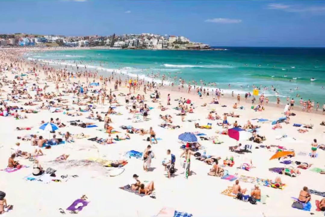 Photo of Others in North Bondi