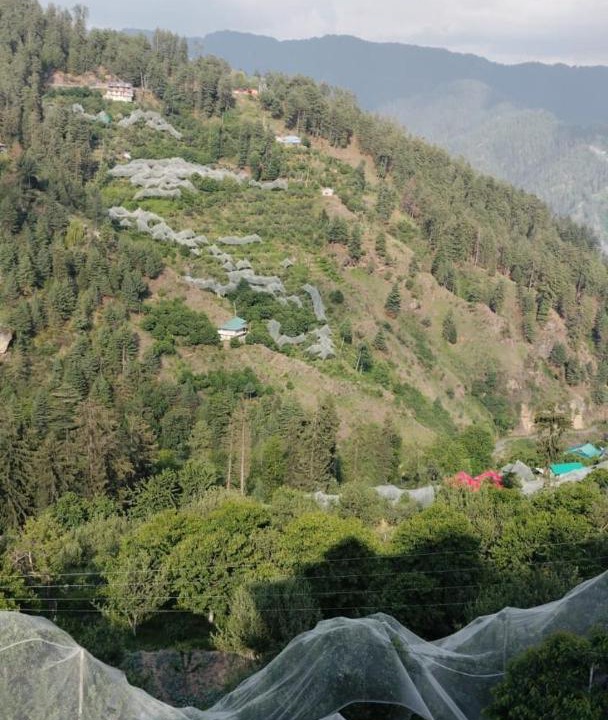 Photo of Others in Kumharsain
