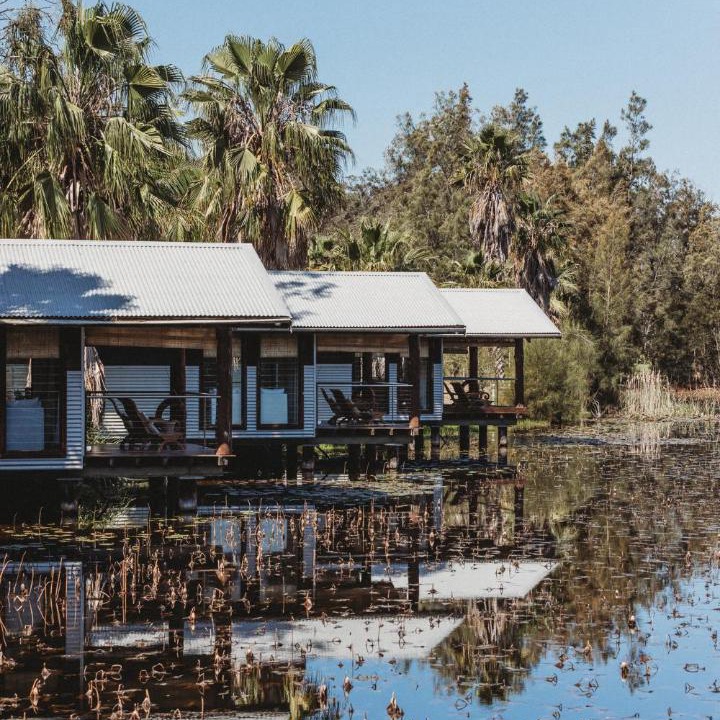 Photo of Others in Lovedale
