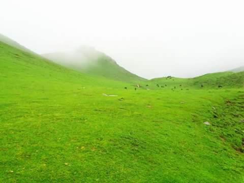 Photo of Others in Kharsali