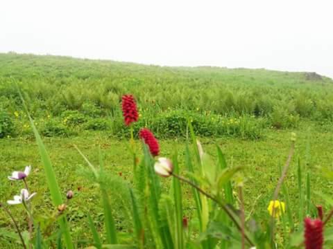 Photo of Others in Kharsali
