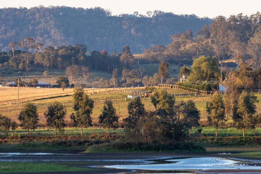 Photo of Others in Hunter Valley