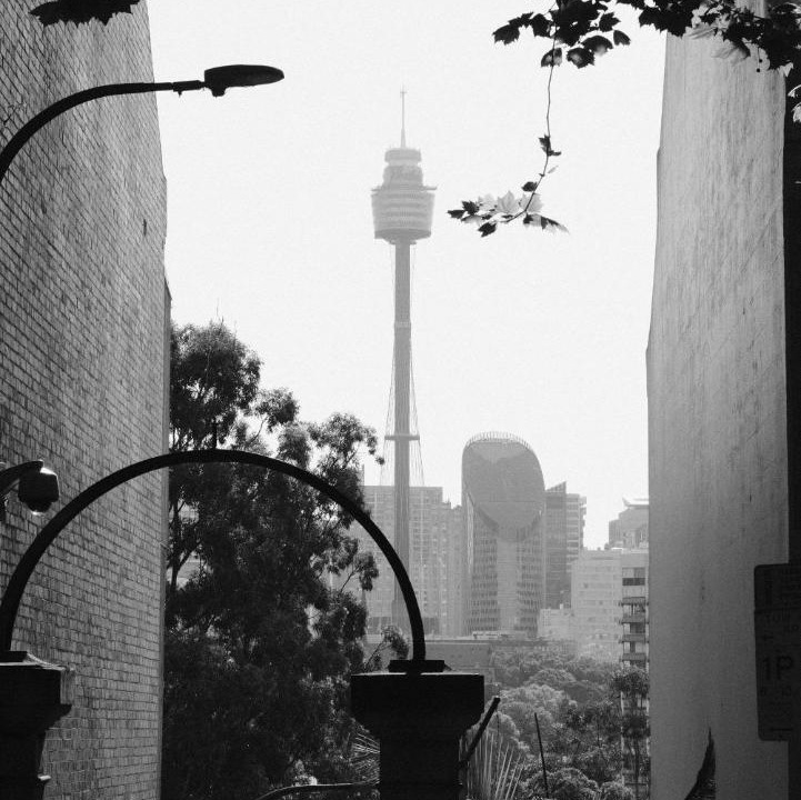 Photo of Others in Potts Point