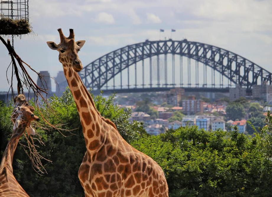 Photo of Others in Potts Point