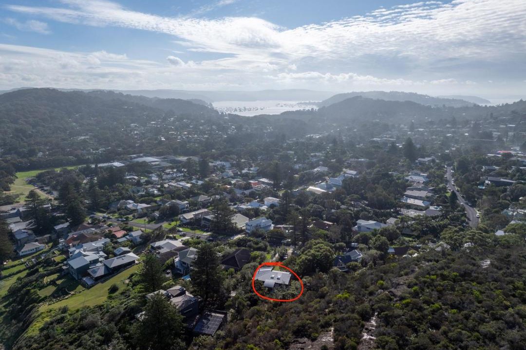 Photo of Others in Avalon Beach