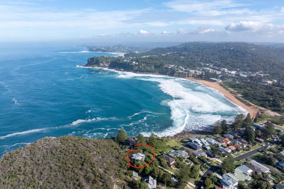Photo of Others in Avalon Beach