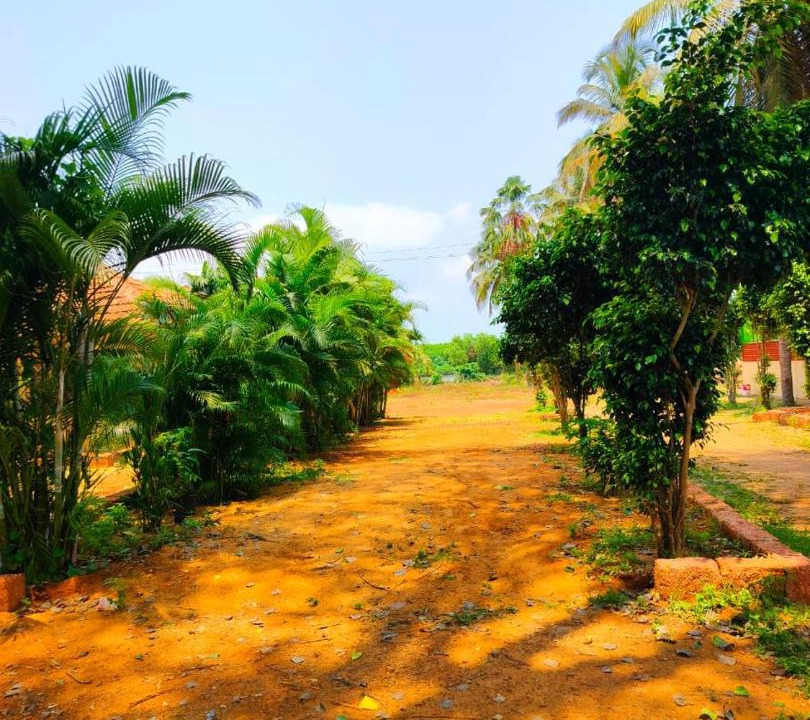 Photo of Others in Honavar