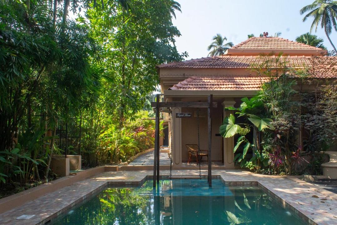 Photo of Others in Anjuna